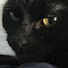 IDrp6g3BtbI-channel-avatar-Reinzinter