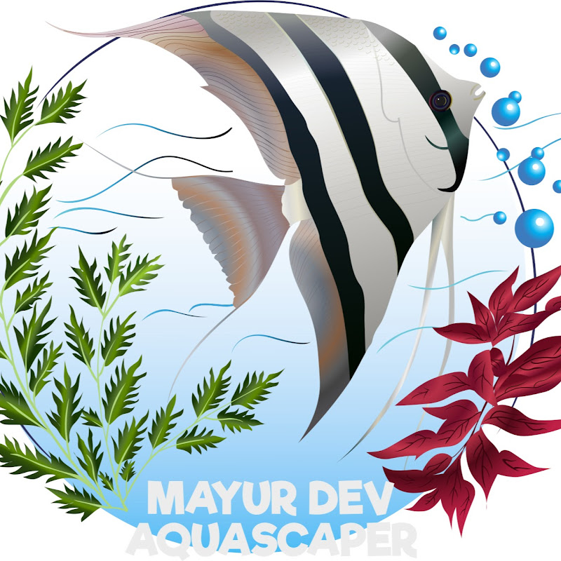 Mayur Dev - Aquascaper