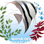 Mayur Dev - Aquascaper Image Thumbnail