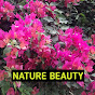Nature Beauty logo