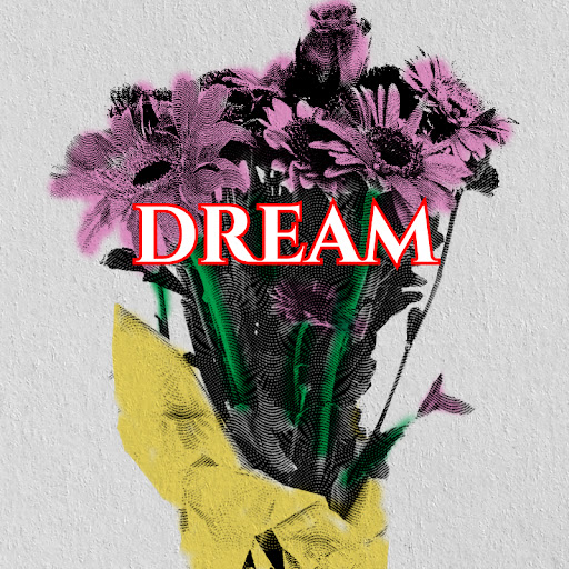 DREAMER