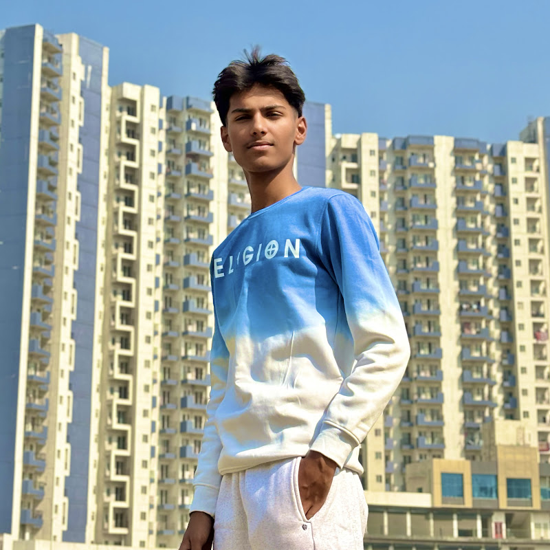 Majnu Vlogger