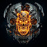 mO9RYSGUWxA-channel-avatar-Terran Zenith Protocol