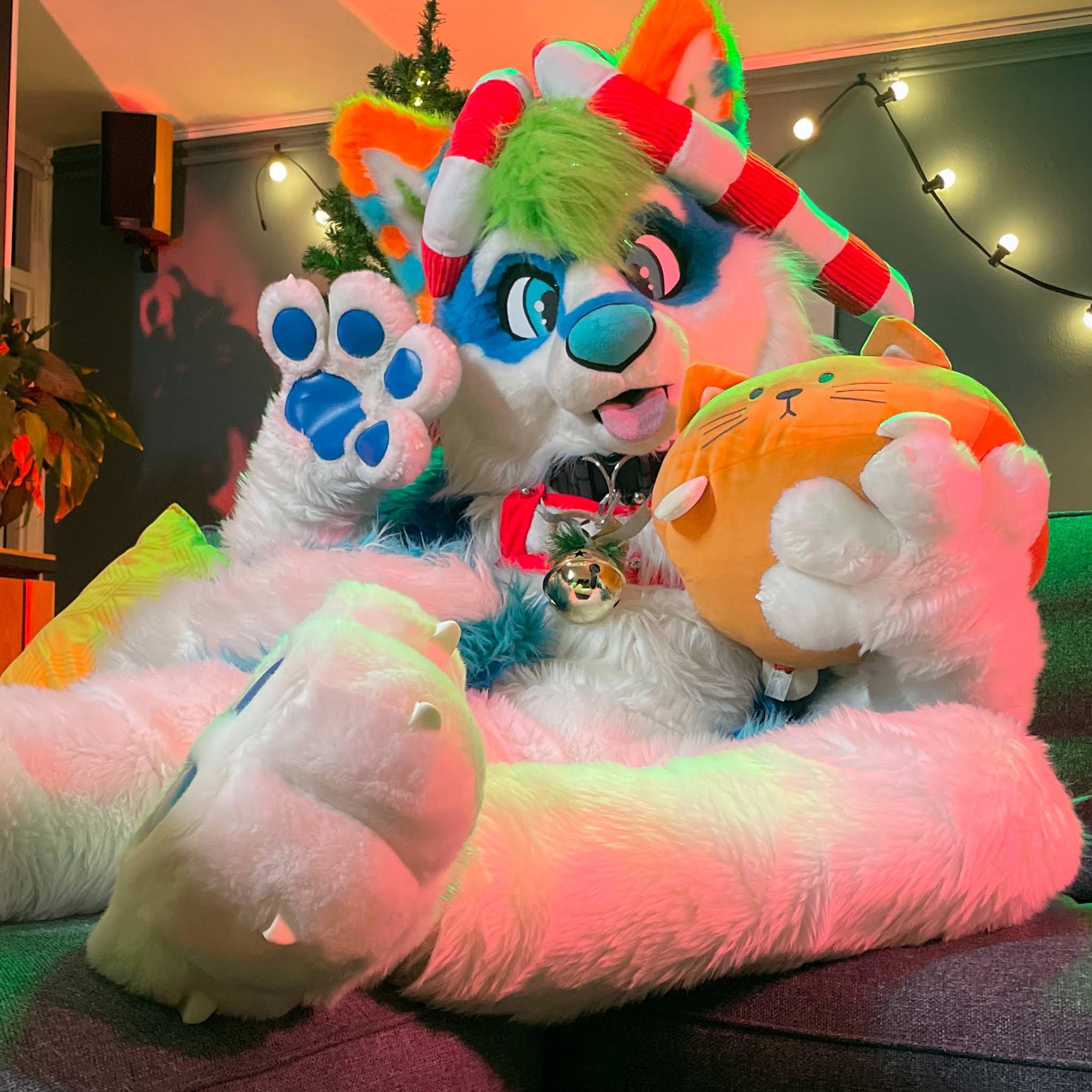 Post from Truffel The Wusky