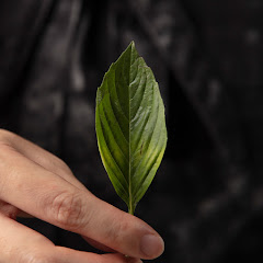 煮菜修行アイコン画像