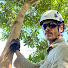 EI8g9P-yOck-channel-avatar-Amaral Landscape & Tree Care
