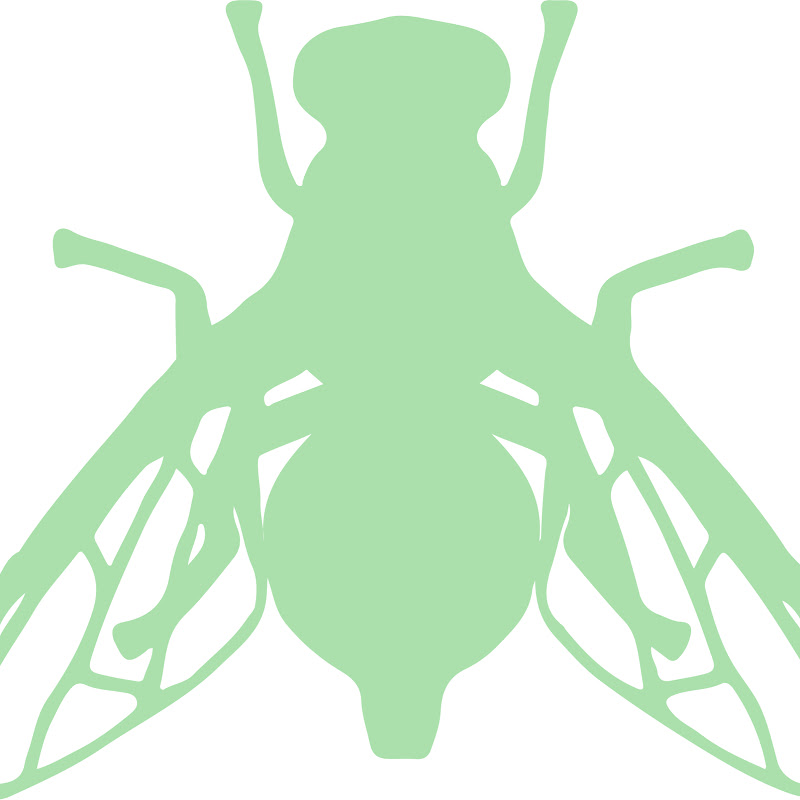 REACT_insect