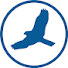 SlOLNw2xxmI-channel-avatar-HawkSoft