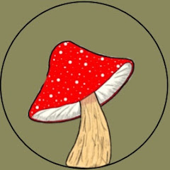 Mushroom Asmr Avatar