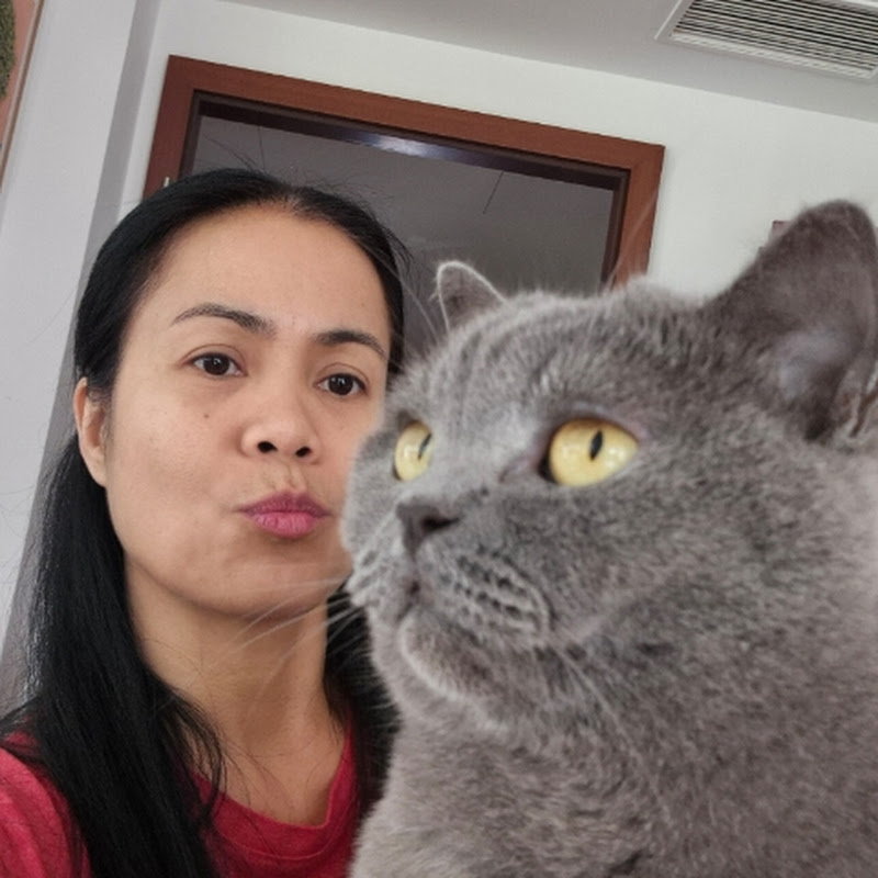 June Jover toys&travel