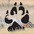 VUFOCWETvyo-channel-avatar-The Hunting Dog Podcast