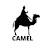 Camel MIX