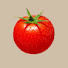 hKkxl2AwMaA-channel-avatar-tomato for taegyu