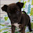 @RighteousMahoney-l9k Avatar