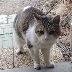 rilax 癒しのリビングルーム