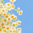 @HabibaMohamed-eb5qg
