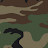 @Camo1w5