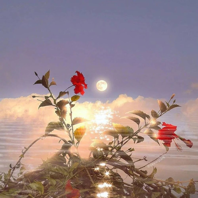 真情故事會 Logo