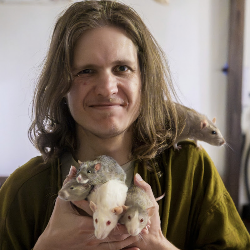 The Rat Shepherd 