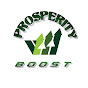 PROSPERITY BOOST logo