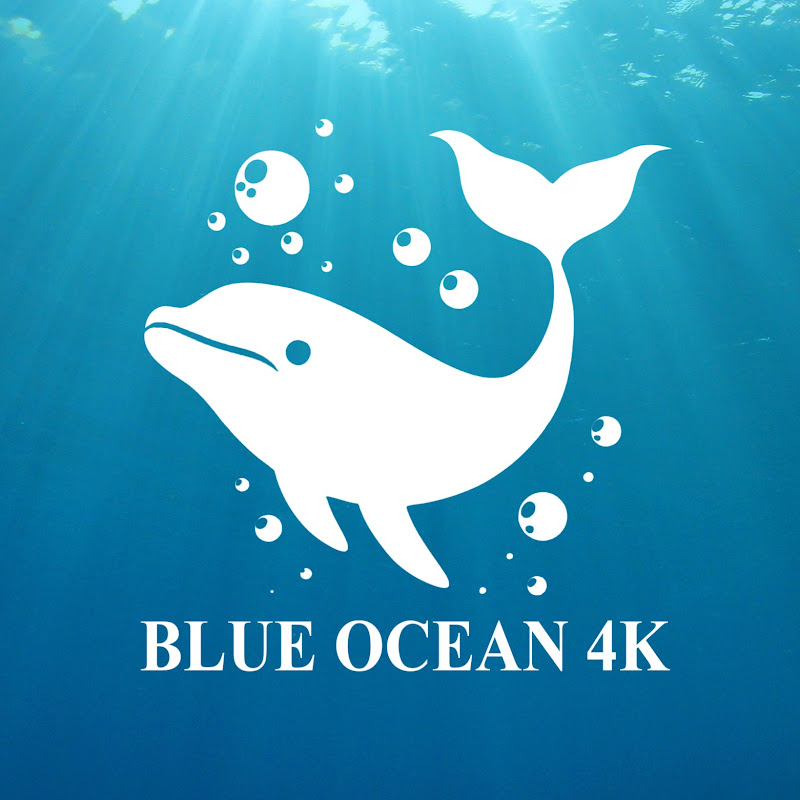 Blue Ocean 4K