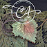 4bRq87Jg6v0-channel-avatar-CatlynsArt