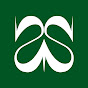 bingsoosh Avatar