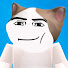 4P5FbsErYEY-channel-avatar-Pop Cat Roblox