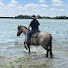 FF-7q-PyRlU-channel-avatar-LoneStarWoman Equestrian