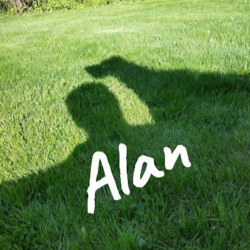 Average Alan