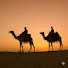 45MKXOIlyhM-channel-avatar-Animals Life Journey