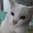 @GenzGS Avatar