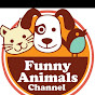 Funny Animals