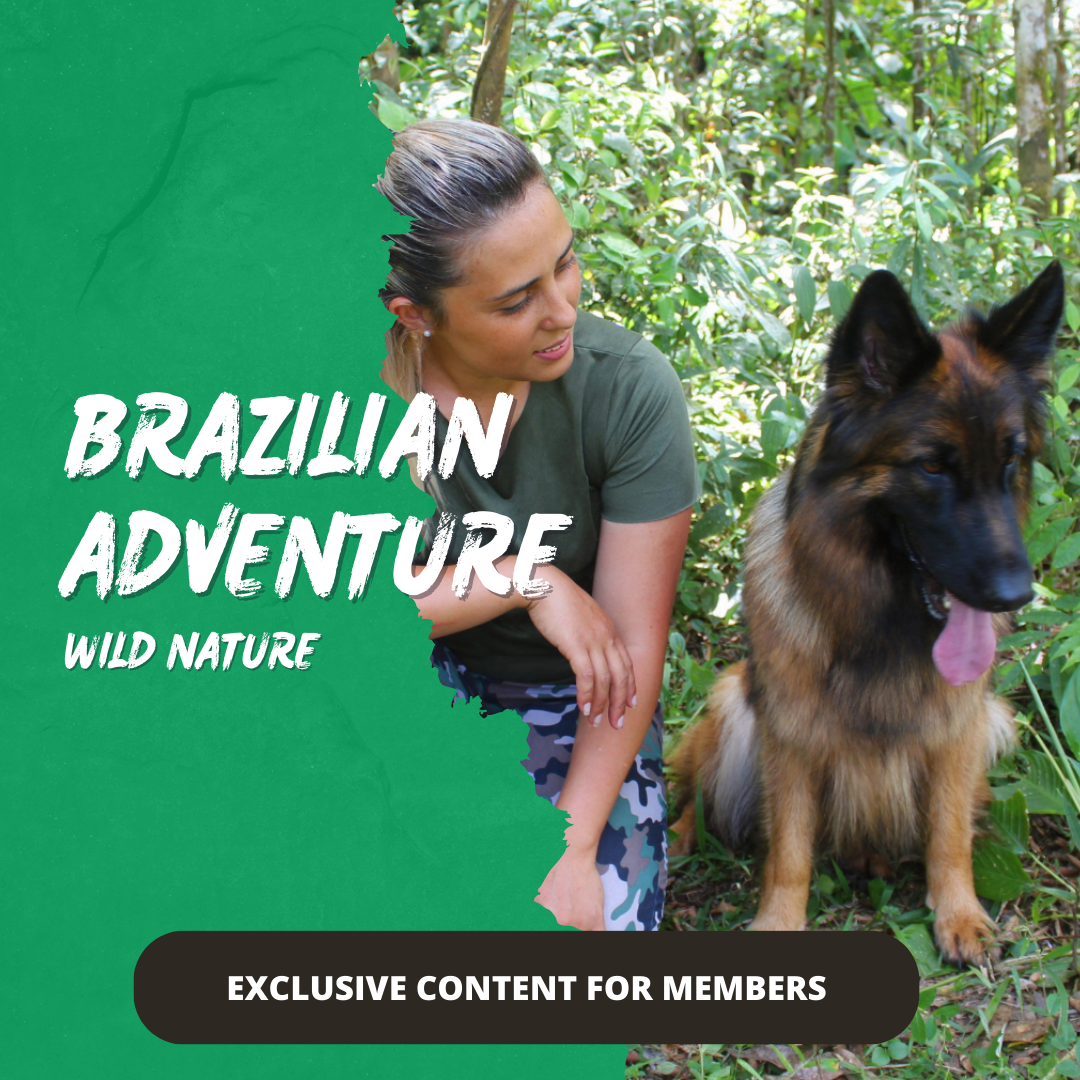 Post from Brazilian Adventure