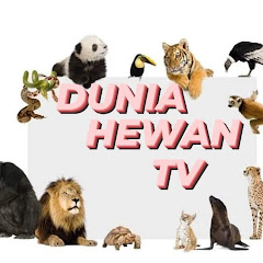 DuniaHewan tv