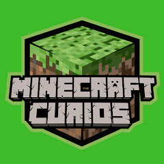 Minecraft Curios net worth