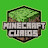 Minecraft Curios