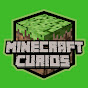 Minecraft Curios