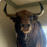 sLCI3elUTb8-channel-avatar-Toros con Raki75