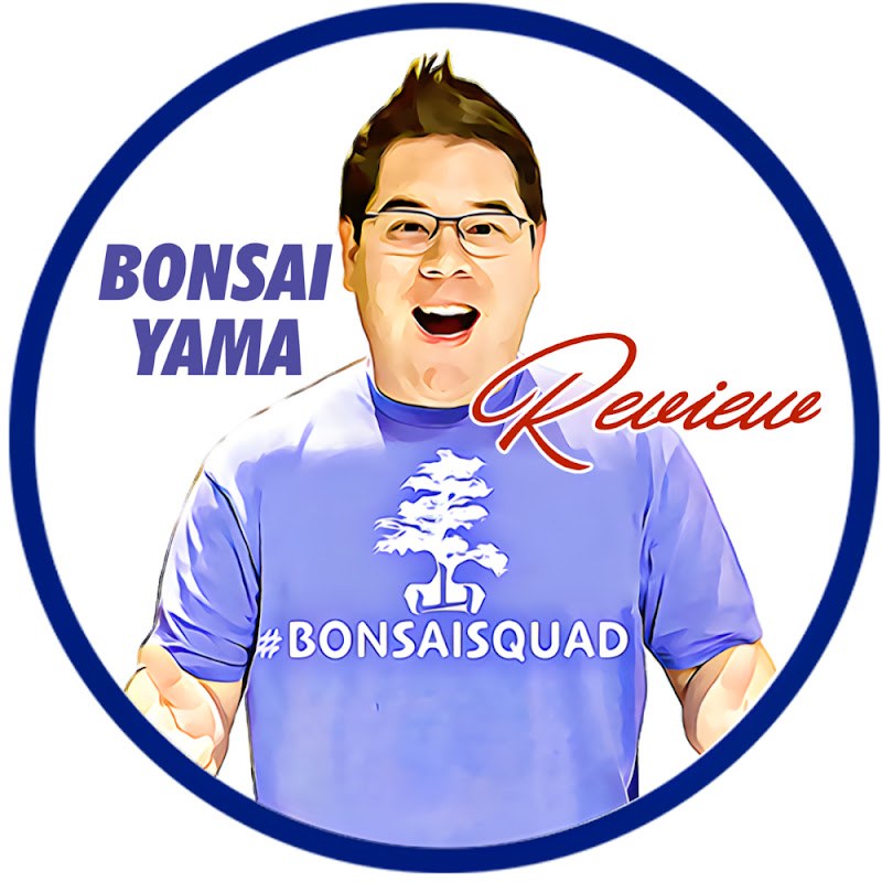 Bonsai Yama Review