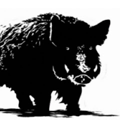 Texas Hill Country Hog Hunters