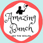 Amazing Bunch logo