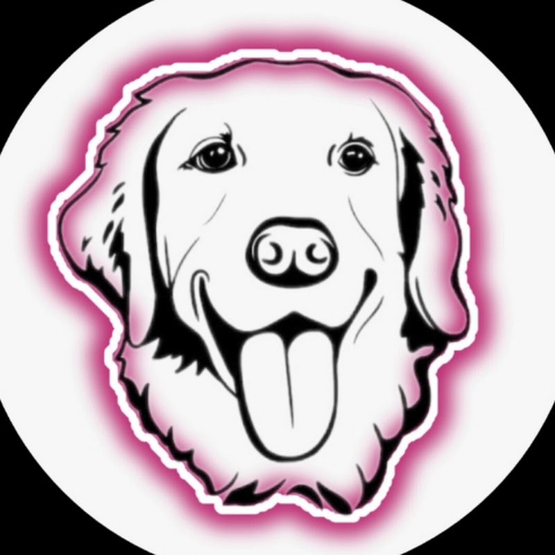 saju_the_labrador