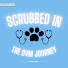 Wj9-Du3REj4-channel-avatar-Scrubbed In: The DVM Journey