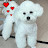 @별사랑-j2e