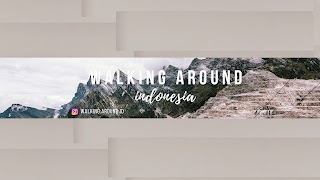 «Walking Around» youtube banner