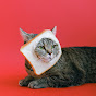 AA ANIMAL'S  Image Thumbnail