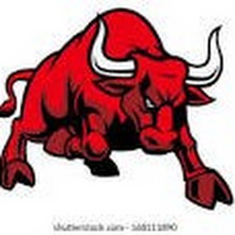 Nifty Dyanamic Break Level