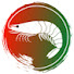 TtNv-1sGjxo-channel-avatar-Os Potiguares em Portugal