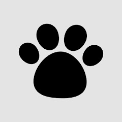ゆう先生の発達講座アイコン画像